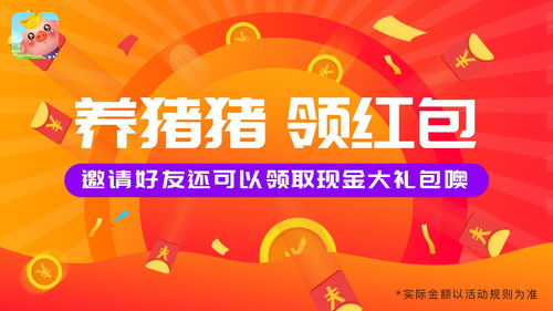 信息流廣告設計